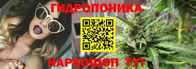 молекула духа Ливны