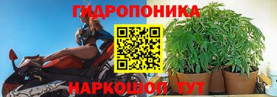 молекула духа Ливны