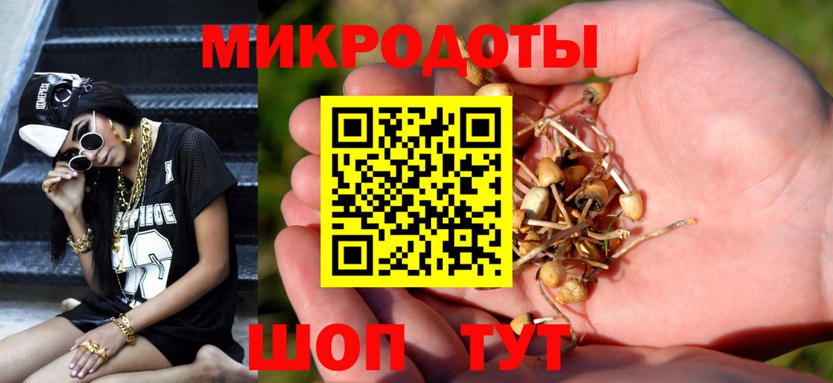 Галлюциногенные грибы Psilocybe  Вход с VPN  цена наркотик  Южноуральск 